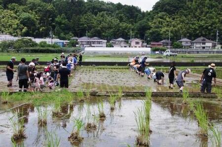 東京・八王子産米100％の地酒「高尾の天狗」720ＭＬ×3本　わさび漬80ｇ×2個