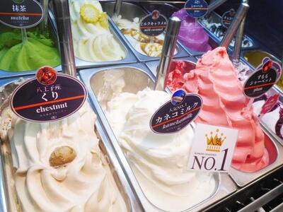 東京都地域特産品認証食品「カネコミルク」使用！牧場の手作りアイスクリーム　8個セット