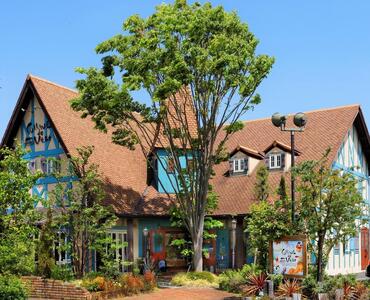 【ヴェールの丘】リーフパイ12枚入り