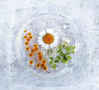 【Art grace】ノースポールのハーバリウムコースター　2枚セット