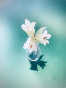 [HAM IAM]【数量限定】風鈴草ブートニエール3輪　わかくさ(グリーン系)　oneサイズ