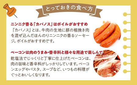 【6か月定期便】国際コンクール金賞受賞 ハム・ソーセージなど店主おまかせスペシャルセット