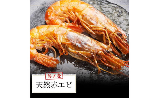 ブイヤベース 海鮮鍋セット 2～3人前 魚介 4種 詰め合わせ ギフト セット