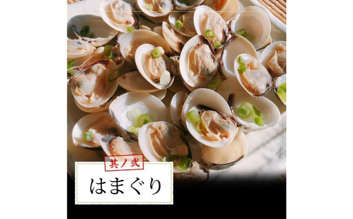 ブイヤベース 海鮮鍋セット 2～3人前 魚介 4種 詰め合わせ ギフト セット