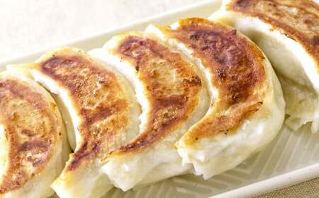 吉祥寺篭蔵の餃子 食べ比べ セット 4種 (計33個) 餃子 冷凍