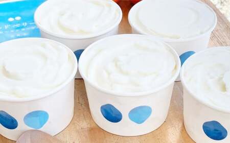 ベーシックヨーグルト 120ml×12個 合計1440ml フローズンヨーグルト セット