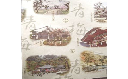 青梅せんべい味わいギフト 和菓子 