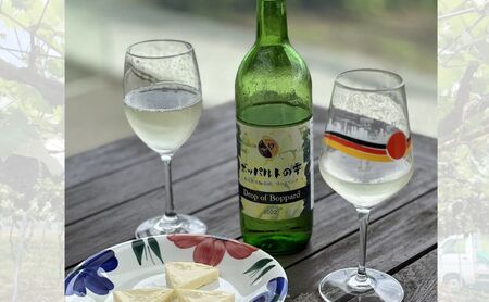 2024年産 姉妹都市ワインセット