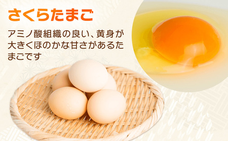 【品種を選べる】かわなべ鶏卵農場のこだわりのたまご30個/こだわり 国産 青梅市産 鶏 鳥 卵 たまご タマゴ 玉子 朝食 卵かけご飯 TKG ゆでたまご 赤玉 卵黄 卵白 健康 青梅市 さくらたまご