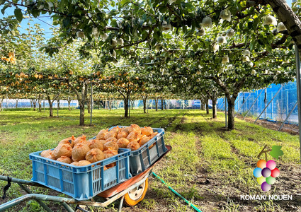 【コマキ農園】季節のジャム3種
