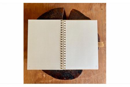 「 テトカ 赤 」 内田平和堂 の スケジュール帳