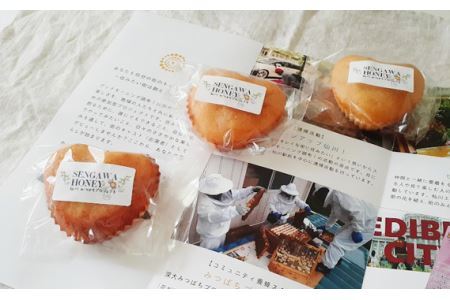 低糖質 ! 仙川 はちみつ マドレーヌ プレーン | 焼き菓子 砂糖不使用 しまねこや～低糖質おやつのお店