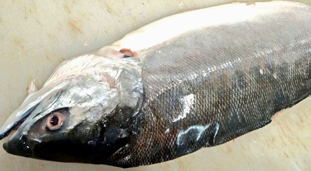 幻の紅鮭（ベニザケ）中辛 | 仙川町伊藤食品 紅鮭 鮭 さけ 熟成 国産 サケ シャケ サカナ 魚 さかな おかず 惣菜 紅鮭 真空個包装 東京都 昔ながら 調布 特産品