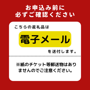 No.148 ドローンスクール「E.R.T.S.」受講 ＜サービス提供地域: 東京都調布市＞／ NTT 初心者 講習 ドローン 操縦 東京都