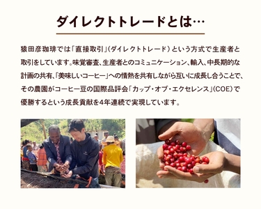 【 定期便 6回 】猿田彦珈琲 ふるさと納税限定Hometownブレンド 500g  | 珈琲 コーヒー コーヒー豆