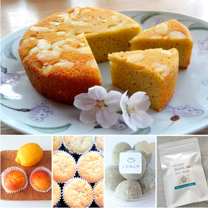 3回 定期便 月替わり 低糖質 おやつセット  | 焼き菓子 糖尿病 グルテンフリー しまねこや～低糖質おやつのお店