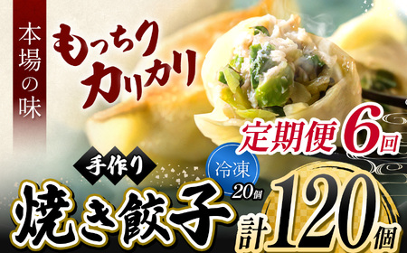 6回 定期便  手作り 焼き餃子  ( 冷凍 )  20個 【 手作り餃子の店 吉春 】 |  冷凍餃子 地元野菜 ・ 国産素材 を使用 