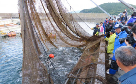 北海道とまりカブトサーモン　スライス200g(10g×20切)×2パック【配送不可地域：離島】【1325152】