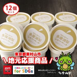 SDGs東村山多摩湖梨シャーベット【配送不可地域:離島】【1471896】