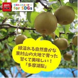 SDGs東村山多摩湖梨シャーベット【配送不可地域:離島】【1471896】