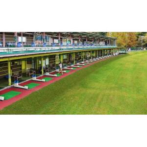 東京サマーランド ゴルフ練習場 ご招待券【1391290】