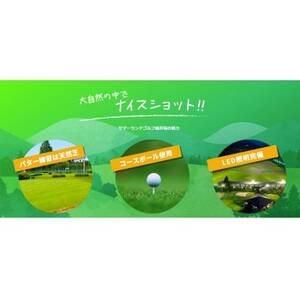 東京サマーランド ゴルフ練習場 ご招待券【1391290】