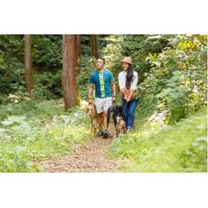 わんダフルネイチャーヴィレッジ ドッグパークエリアご招待券 3枚【1391292】