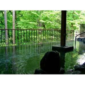 瀬音の湯入浴券 11枚セット【1391368】