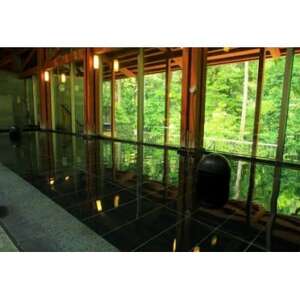 瀬音の湯入浴券 2枚セット【1391369】