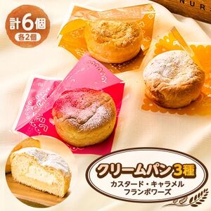 クリームパン6個(カスタード2個、キャラメル2個、フランボワーズ2個)【配送不可地域：離島】【1497075】