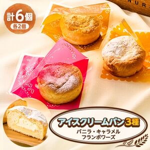 アイスクリームパン6個(バニラ2個、フランボワーズ2個、キャラメル2個)【配送不可地域：離島】【1497081】