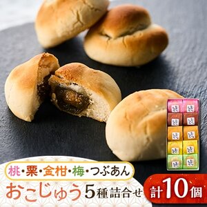 おこじゅう詰め合わせ(10個入)【お茶ぞっぺの中島屋(あきる野の匠)】【1509831】