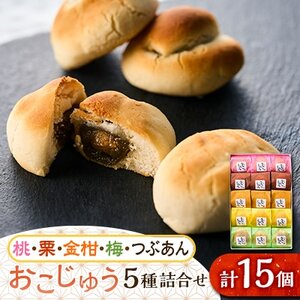 おこじゅう詰め合わせ(15個入)【お茶ぞっぺの中島屋(あきる野の匠)】【1509832】