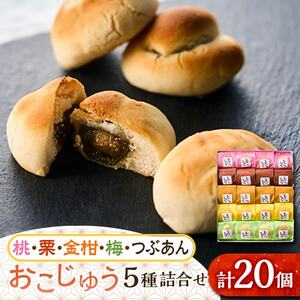 おこじゅう詰め合わせ(20個入)【お茶ぞっぺの中島屋(あきる野の匠)】【1509833】
