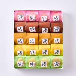 おこじゅう詰め合わせ(20個入)【お茶ぞっぺの中島屋(あきる野の匠)】【1509833】
