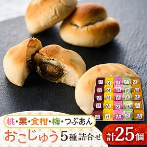 おこじゅう詰め合わせ(25個入)【お茶ぞっぺの中島屋(あきる野の匠)】【1509834】