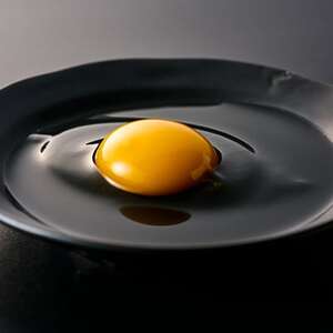 放牧烏骨鶏卵　6個入×1パック【トリゾーファーム】【配送不可地域：離島】【1522296】