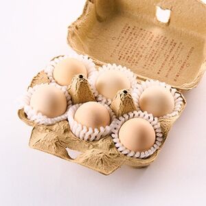 放牧烏骨鶏卵　6個入×2パック【トリゾーファーム】【配送不可地域：離島】【1555485】