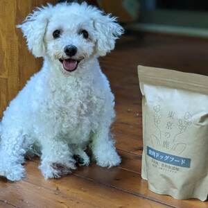 「東京の鹿」鹿肉ドッグフード 成犬用・小粒ドライタイプ 800g×2個セット【1679156】