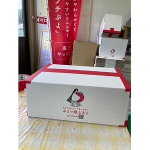 プチぷよ~障がい者が生産する、皮が柔らかく、とても食べやすいミニトマト~【配送不可地域:離島】【1538006】