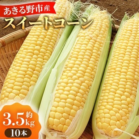 あきる野市産とうもろこし　10本(2026年7月発送開始)【配送不可地域：離島・沖縄県】【1623819】