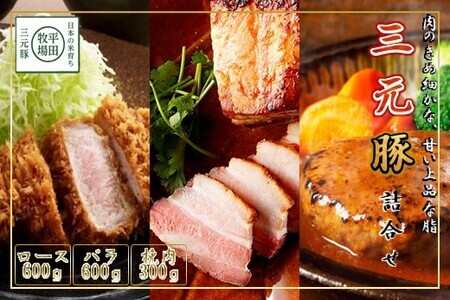 【FN】日本の米育ち平田牧場三元豚ブロック･挽肉詰合せ（３種）