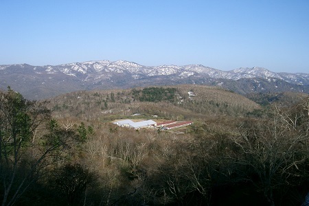 【FN】日本の米育ち平田牧場三元豚切落し ３kg