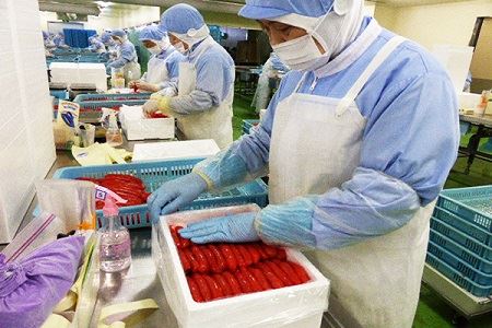 【FN】無着色辛子明太子ど～んと1kg