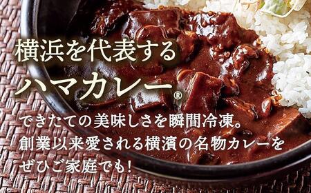 サンアロハ「ハマカレー® ビーフ 230g×4個パック」