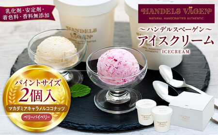 B:ハンデルスベーゲン無添加アイスクリーム/たっぷり入ったパイントサイズ2個入り（マカダミアキャラメルココナッツ・ベリーバイベリー） パーティー 家族 大容量 キャラメル ベリー ヨーグルト