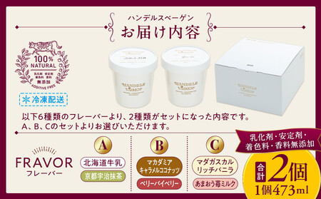 B:ハンデルスベーゲン無添加アイスクリーム/たっぷり入ったパイントサイズ2個入り（マカダミアキャラメルココナッツ・ベリーバイベリー） パーティー 家族 大容量 キャラメル ベリー ヨーグルト