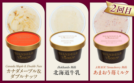 ハンデルスベーゲン 無添加 濃厚 北海道牛乳 アイスクリーム 定期便 6個×3回 全18個 毎月届く 高級カップ バニラ 抹茶 ピスタチオ あまおう ラムレーズン ギフト スイーツ 詰め合わせ 人気 おすすめ 送料無料｜神奈川県 横浜市