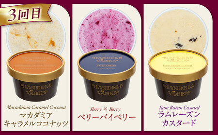 ハンデルスベーゲン 無添加 濃厚 北海道牛乳 アイスクリーム 定期便 6個×3回 全18個 毎月届く 高級カップ バニラ 抹茶 ピスタチオ あまおう ラムレーズン ギフト スイーツ 詰め合わせ 人気 おすすめ 送料無料｜神奈川県 横浜市