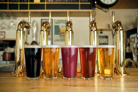 TDM 1874 Brewery クラフトビール　IPA（350ml×3本）【お酒・地ビール・酒】  数々の審査会で金賞受賞！